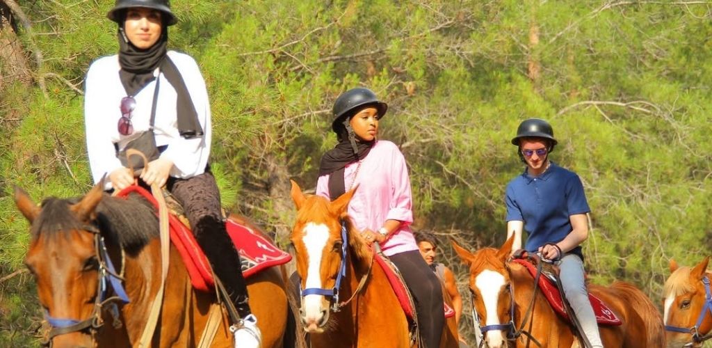 fethiye at turu horse riding